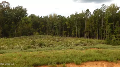 206 Hugh White State Park Rd, Grenada, MS 38901 photo 4