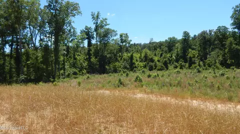 207 Hugh White State Park Rd, Grenada, MS 38901 photo 9