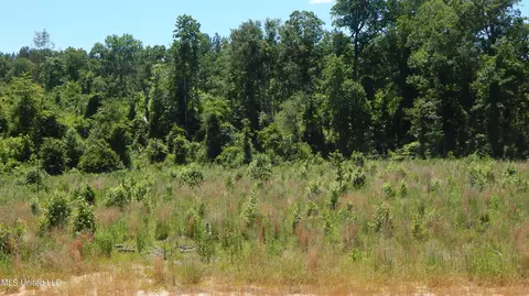 207 Hugh White State Park Rd, Grenada, MS 38901 photo 10