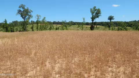207 Hugh White State Park Rd, Grenada, MS 38901