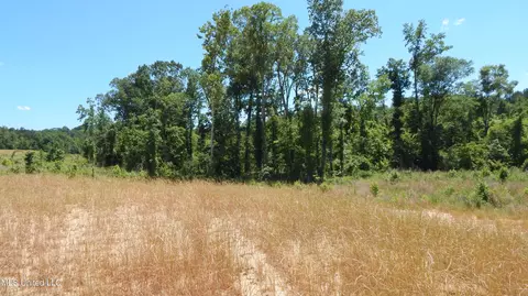 207 Hugh White State Park Rd, Grenada, MS 38901 photo 5
