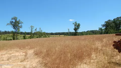 207 Hugh White State Park Rd, Grenada, MS 38901 photo 7