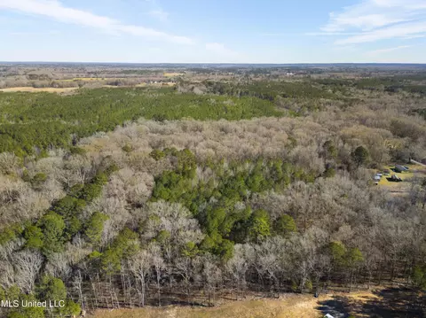 0 Old Enochs Rd, Florence, MS 39073 photo 14