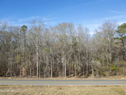 0 Old Enochs Rd, Florence, MS 39073 photo 4