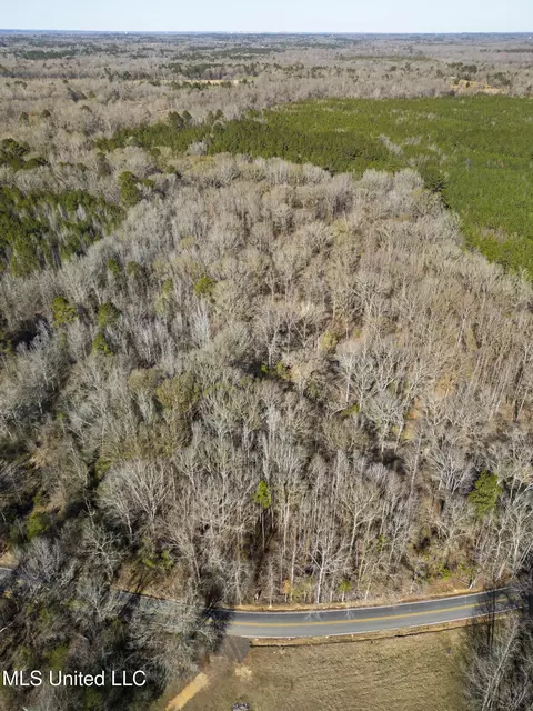 0 Old Enochs Rd, Florence, MS 39073 photo 22