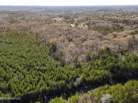0 Old Enochs Rd, Florence, MS 39073 photo 9