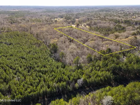 0 Old Enochs Rd, Florence, MS 39073 photo 10