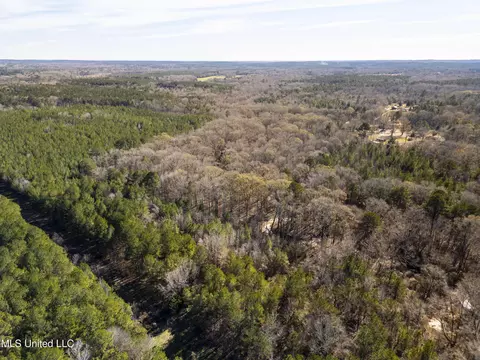0 Old Enochs Rd, Florence, MS 39073 photo 12
