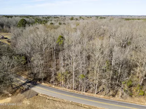 0 Old Enochs Rd, Florence, MS 39073 photo 3
