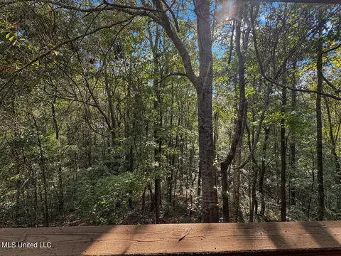 159 Vard Sullivan Rd, Pinola, MS 39149 photo 36
