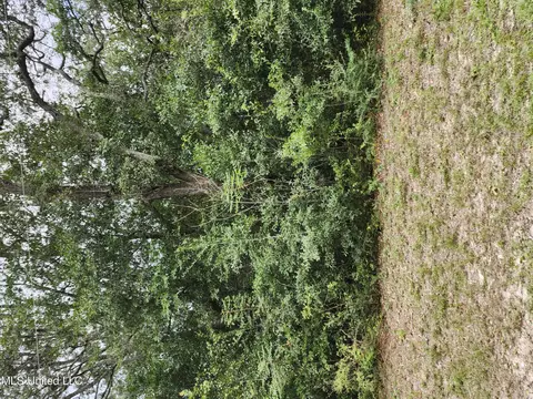 0 Hunt, Ocean Springs, MS 39564