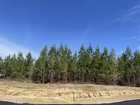 762 Freedom Ridge Ln, Brandon, MS 39047