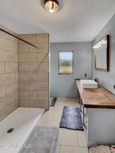 Bath - 3415 Erin Lucern Rd, Union, MS 39365 photo 4 of 5