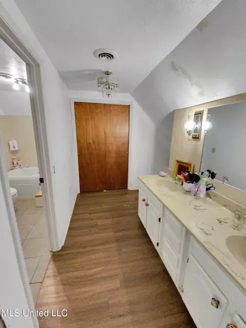 Bath - 3415 Erin Lucern Rd, Union, MS 39365 photo 3 of 5