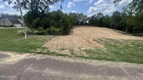 152 Oak Manor Dr, Coldwater, MS 38618 photo 5