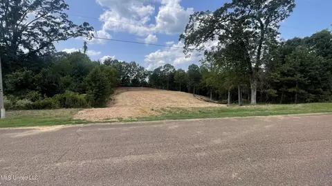 152 Oak Manor Dr, Coldwater, MS 38618 photo 8