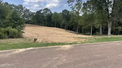 152 Oak Manor Dr, Coldwater, MS 38618 photo 7