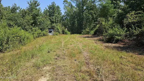 Rathell Road, Lexington, MS 39095 photo 13