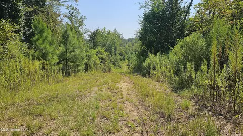 Rathell Road, Lexington, MS 39095