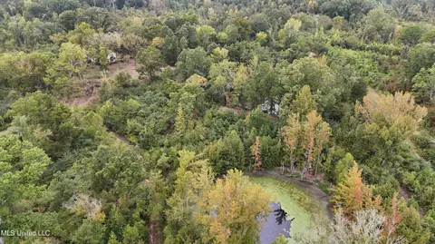 Rathell Road, Lexington, MS 39095 photo 23