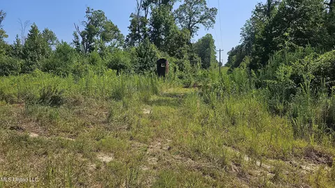 Rathell Road, Lexington, MS 39095 photo 12