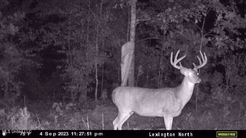 Rathell Road, Lexington, MS 39095 photo 7