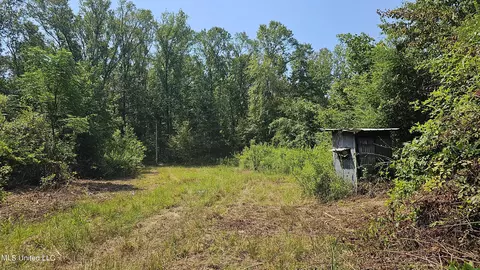 Rathell Road, Lexington, MS 39095 photo 14
