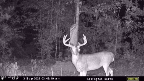 Rathell Road, Lexington, MS 39095 photo 6