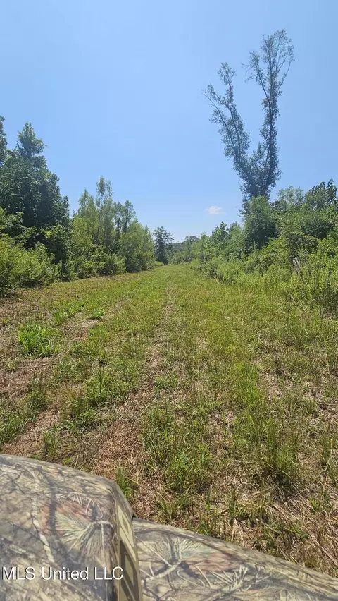 Rathell Road, Lexington, MS 39095 photo 20