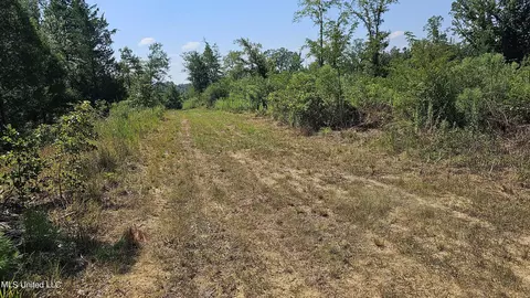 Rathell Road, Lexington, MS 39095 photo 17