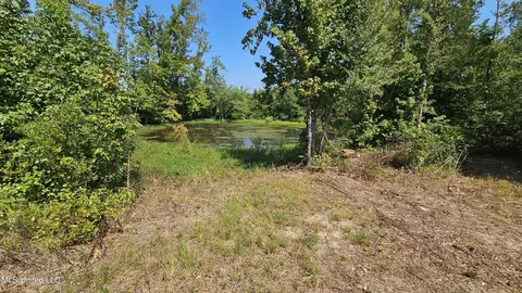 Rathell Road, Lexington, MS 39095 photo 15