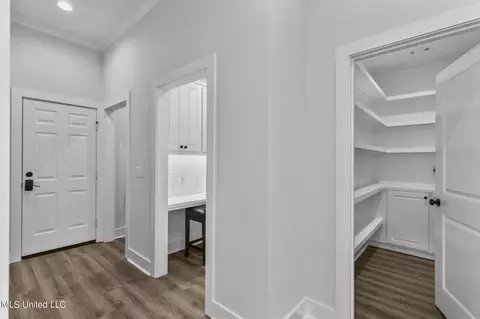 Entry Way - 300 Autumn Cv, Madison, MS 39110 photo 2 of 3