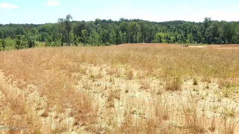 209 Hugh White State Park Rd, Grenada, MS 38901 photo 5