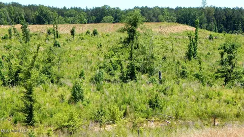 209 Hugh White State Park Rd, Grenada, MS 38901 photo 7