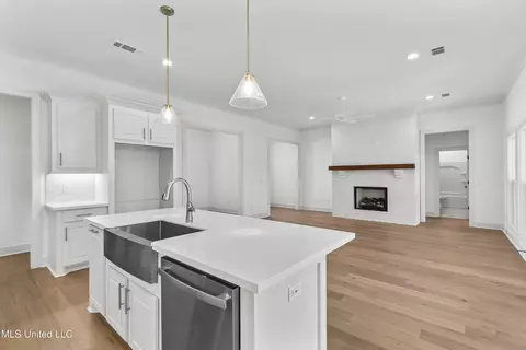 204 Harvest View Pl, Madison, MS 39110 photo 17