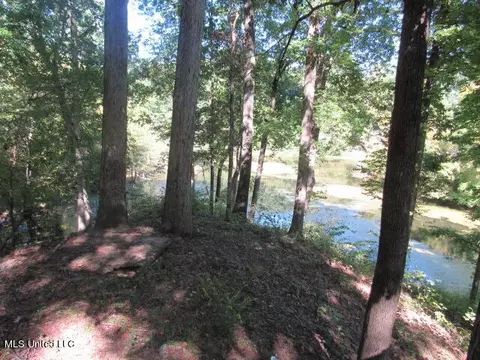 2016 Wewoka Cv, Hernando, MS 38632 photo 7