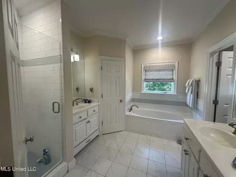 Bath - 107 Belle Meade Blvd, Flowood, MS 39232 photo 3 of 4