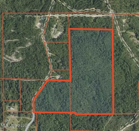 44 Ac Burnis Havard Rd, Perkinston, MS 39573
