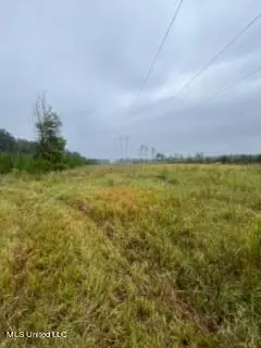 Hwy 15, Laurel, MS 39440 photo 6