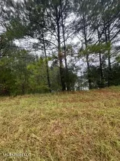 Hwy 15, Laurel, MS 39440 photo 8