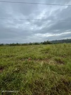 Hwy 15, Laurel, MS 39440 photo 5