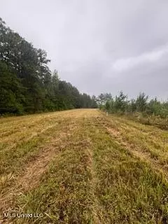 Hwy 15, Laurel, MS 39440 photo 7