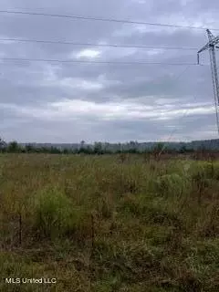 Hwy 15, Laurel, MS 39440 photo 9