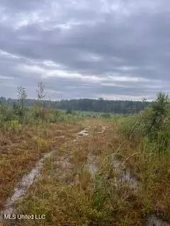 Hwy 15, Laurel, MS 39440 photo 4