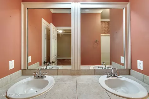 Bath - 801 Hambridge Ct, Brandon, MS 39047 photo 5 of 7