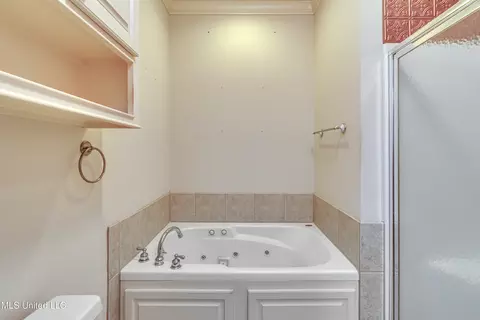 Bath - 801 Hambridge Ct, Brandon, MS 39047 photo 1 of 7