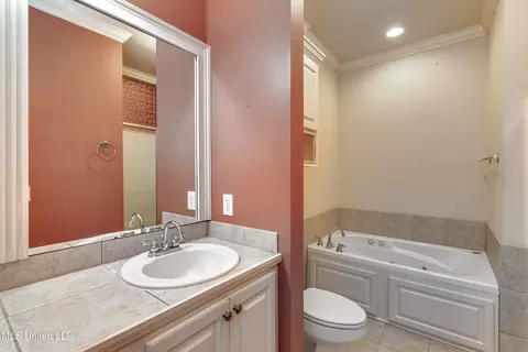 Bath - 801 Hambridge Ct, Brandon, MS 39047 photo 6 of 7