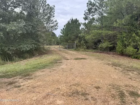 Ben Chapman Road, Puckett, MS 39042 photo 6