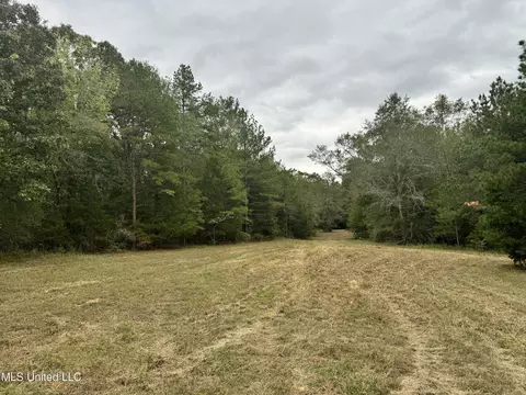 Ben Chapman Road, Puckett, MS 39042 photo 11