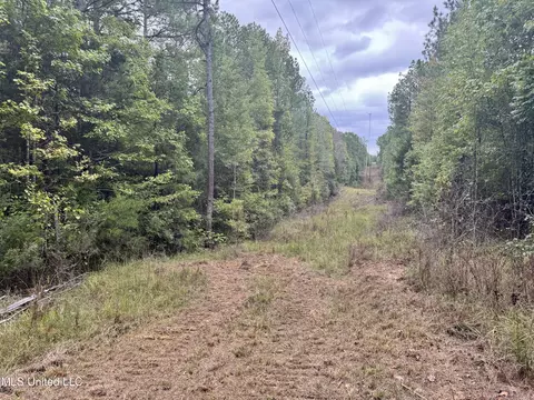 Ben Chapman Road, Puckett, MS 39042 photo 14